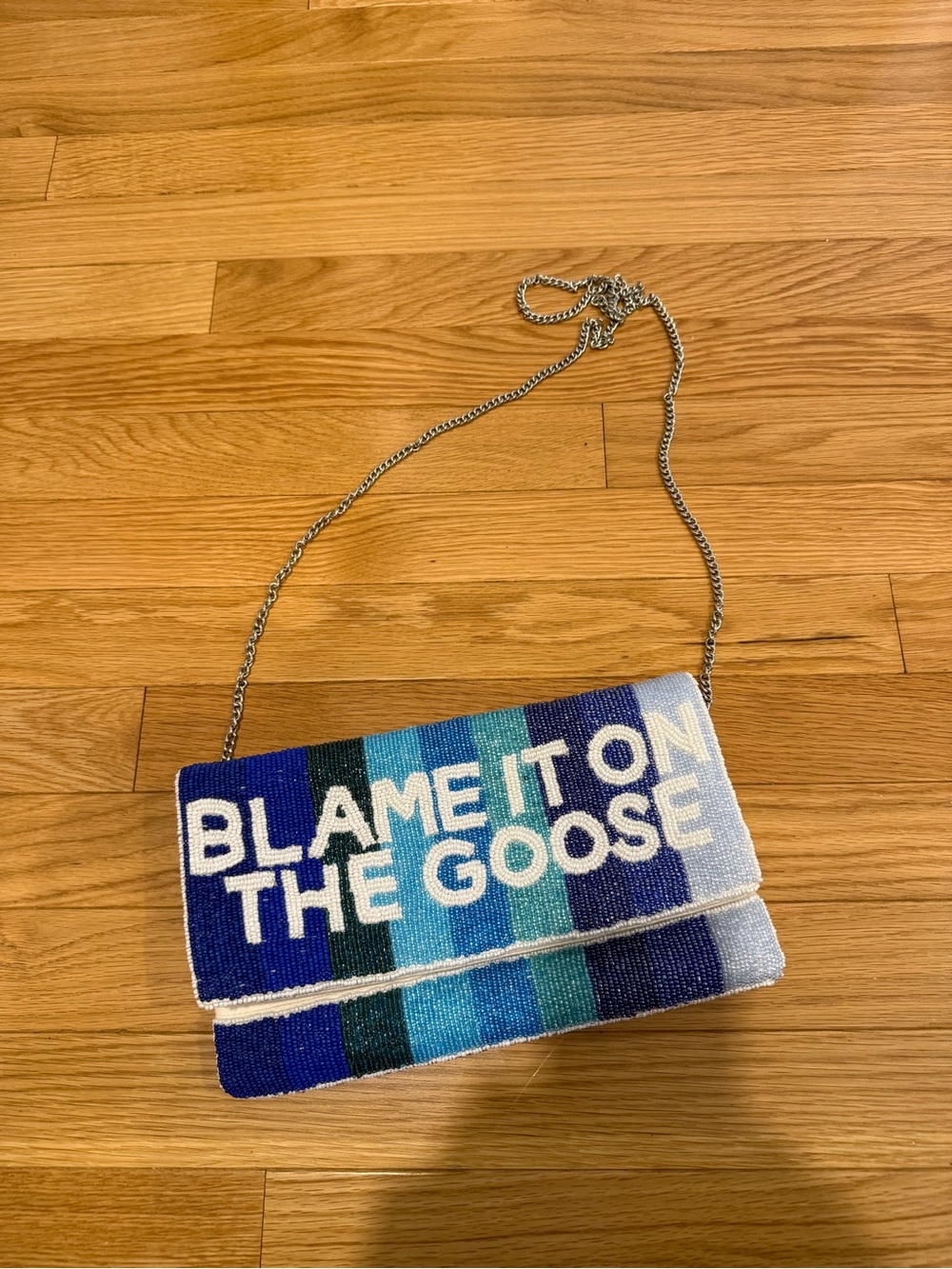 Blame It On The Goose Beaded Chain Shoulder Bag - Blue Stripes